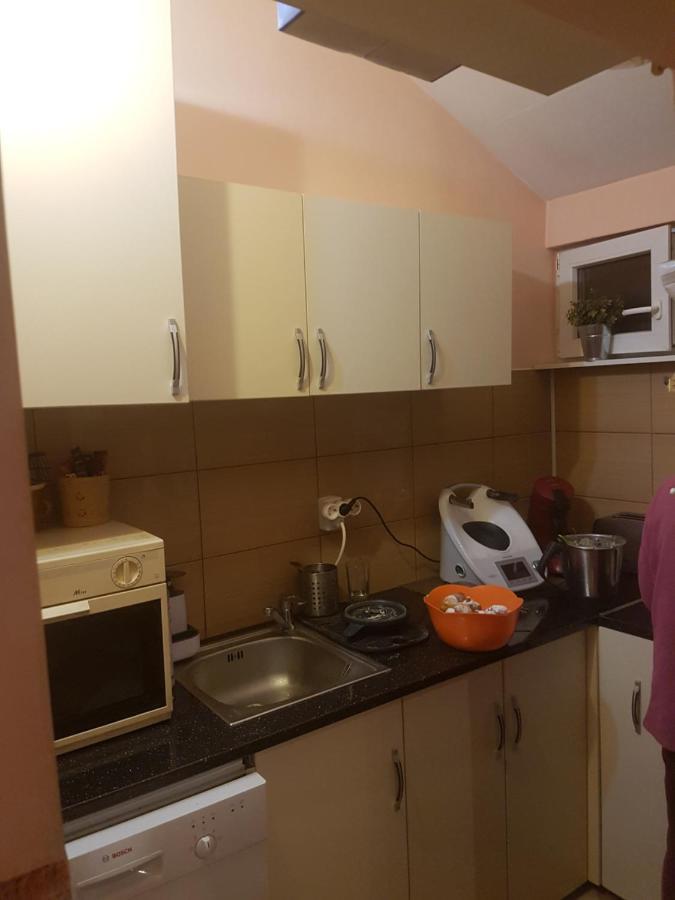 Hotel Casa Ernst Moieciu de Jos Zewnętrze zdjęcie